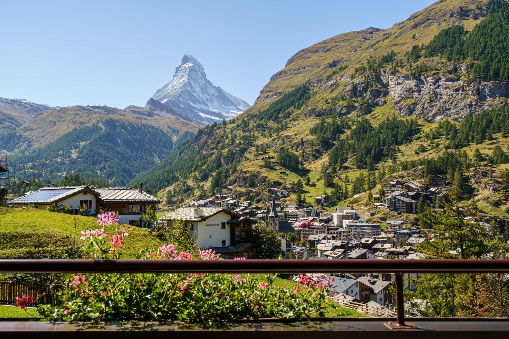 Alpenroyal
