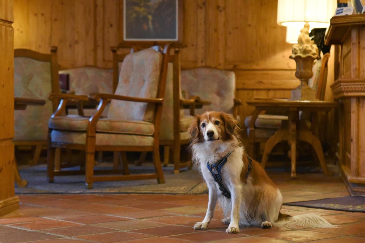 Hotel Alpenroyal Zermatt